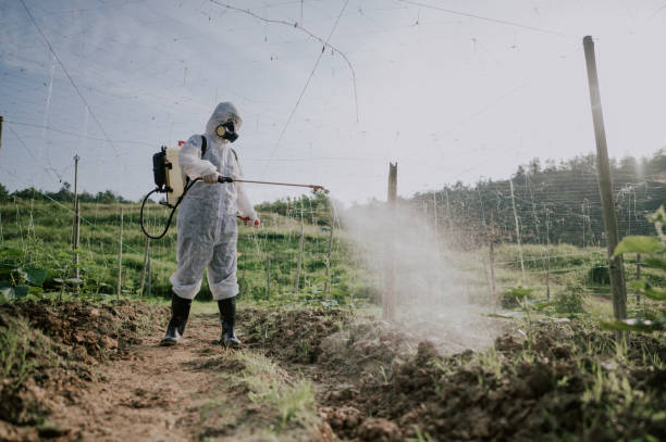 Best Pest Removal Services  in Newtown Grant, PA