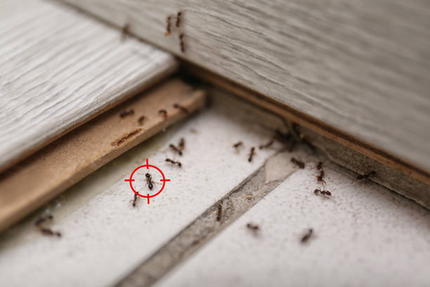 Professional Pest Control in Newtown Grant, PA