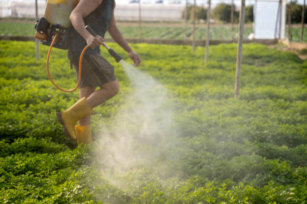 Best Affordable Pest Control Services  in Newtown Grant, PA