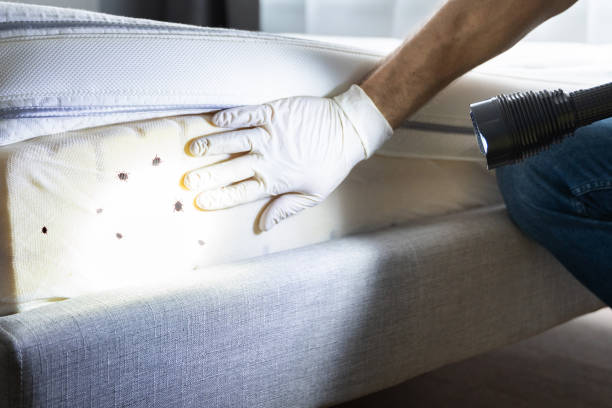 Best Bed Bug Extermination  in Newtown Grant, PA