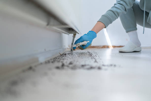 Best Commercial Pest Control Services  in Newtown Grant, PA