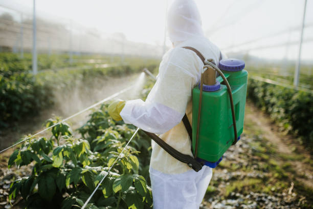 Best Local Pest Control Services  in Newtown Grant, PA
